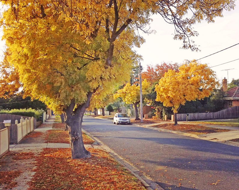 geelong real estate, belmont real estate agent, newtown real estate agent, hamlyn heights real estate agent